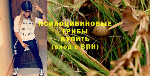 крисы Гусь-Хрустальный