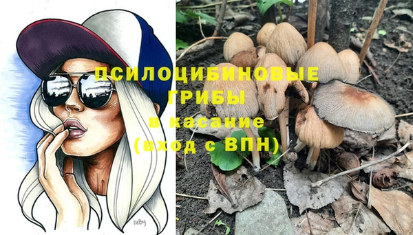 мяу мяу мука Гусев