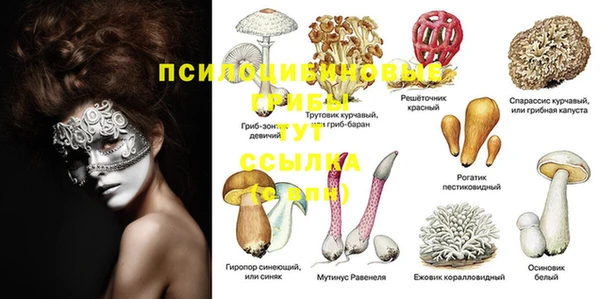 бутират Гусиноозёрск