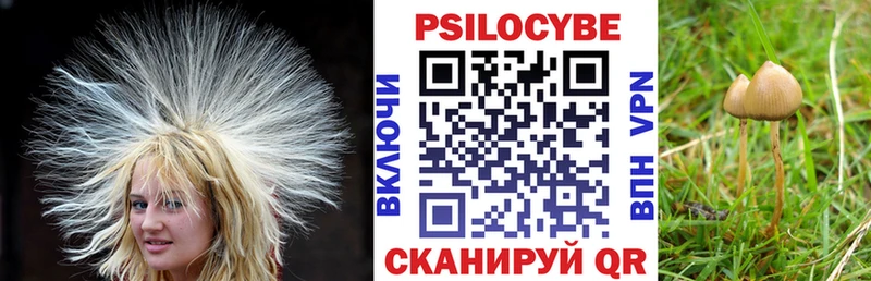 Галлюциногенные грибы MAGIC MUSHROOMS  Сосногорск 