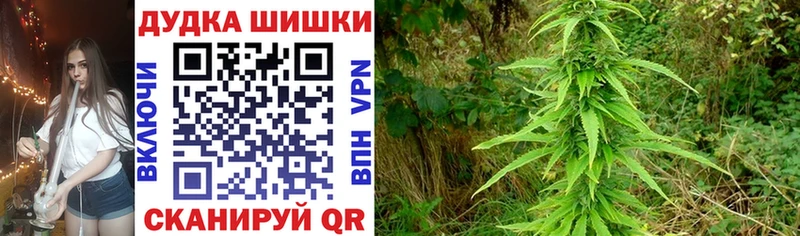 Марихуана OG Kush Сосногорск